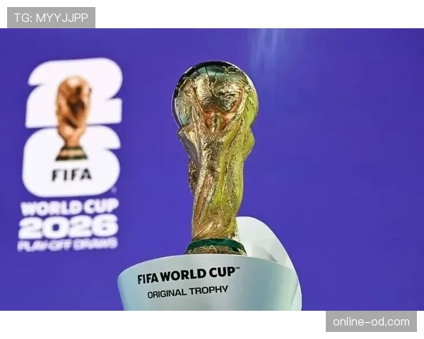 2026世界杯48支球队分12个小组怎么分配和排列
