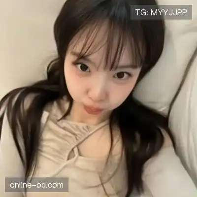 刁帆展